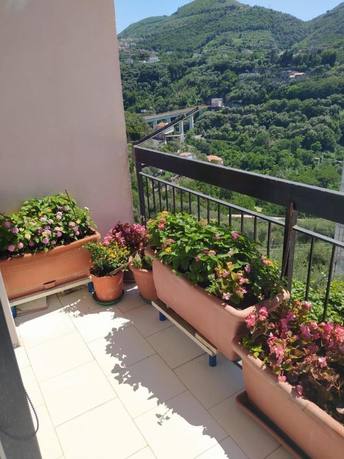 B&B Antonietta 维克艾库塞 外观 照片